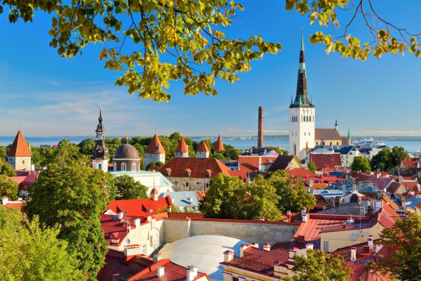 مالیات روشهای سرمایه گذاری استونی